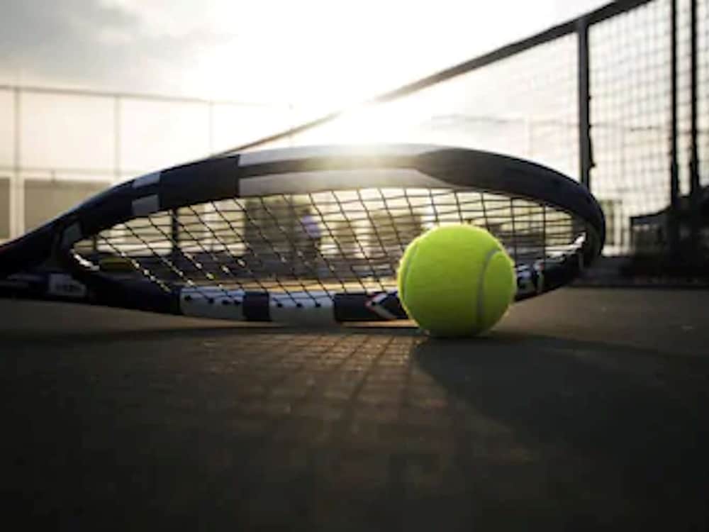 Фото ibis Styles Montargis Arboria