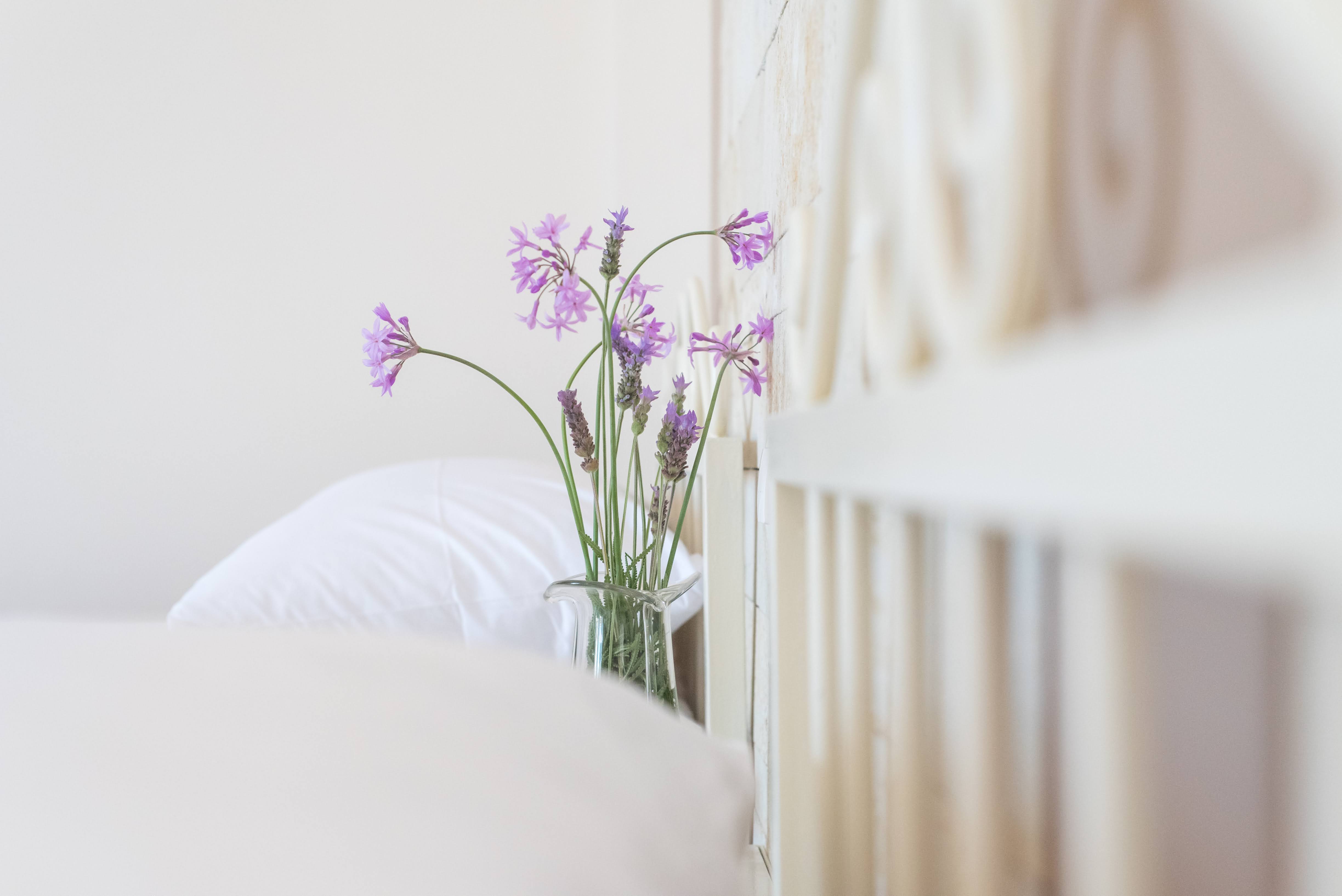 Фото Ilios Malia Hotel Resort