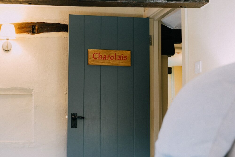 Фото The Pointer