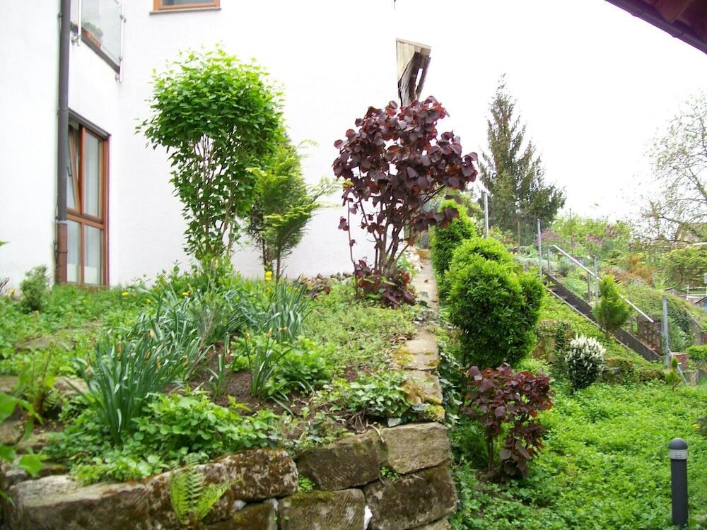 Фото Hotel Gasthof Traube