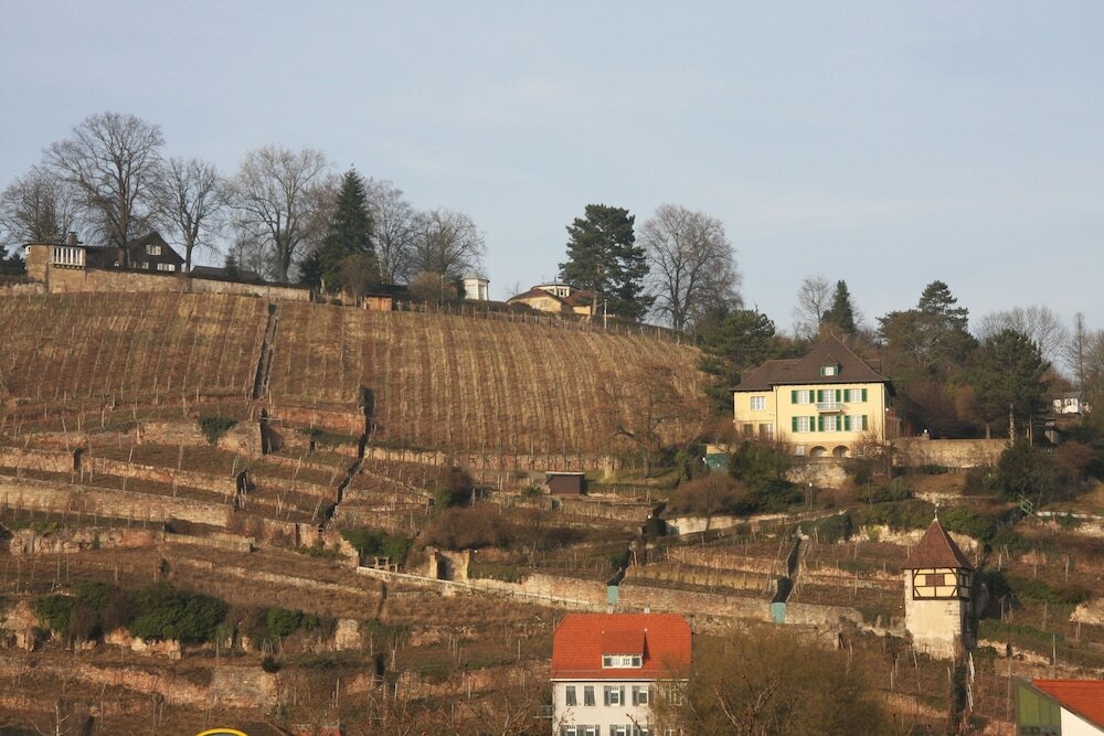 Фото Hotel Am Schelztor