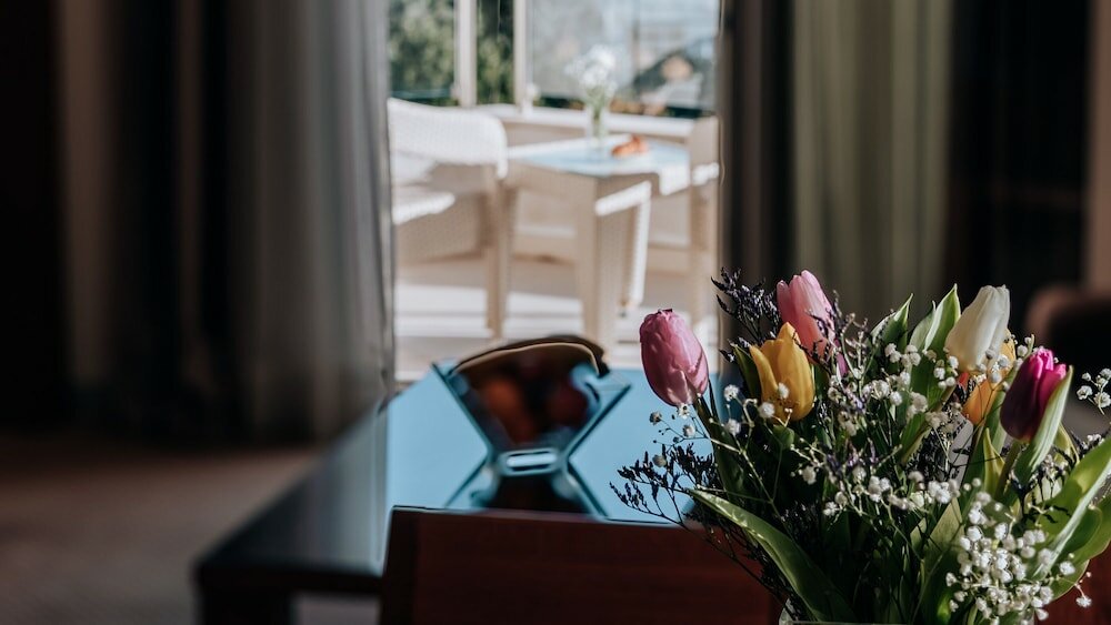 Фото Hotel Del Mar