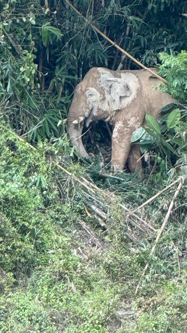 Фото Graceland Khaolak Beach Resort