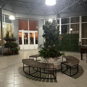 Фото Мясоедовский