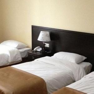 Фото Базилик 