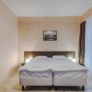 Фото Базилик 