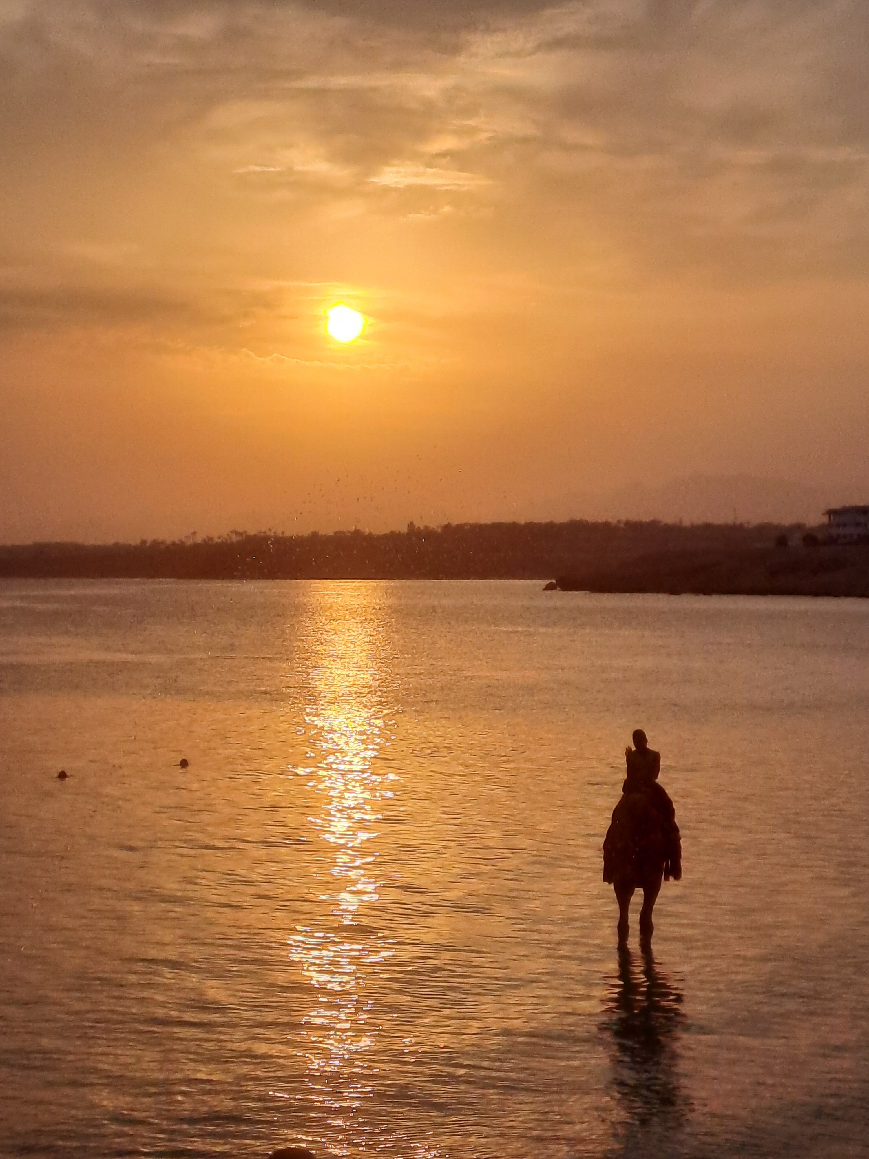 Фото Sunrise Remal Resort