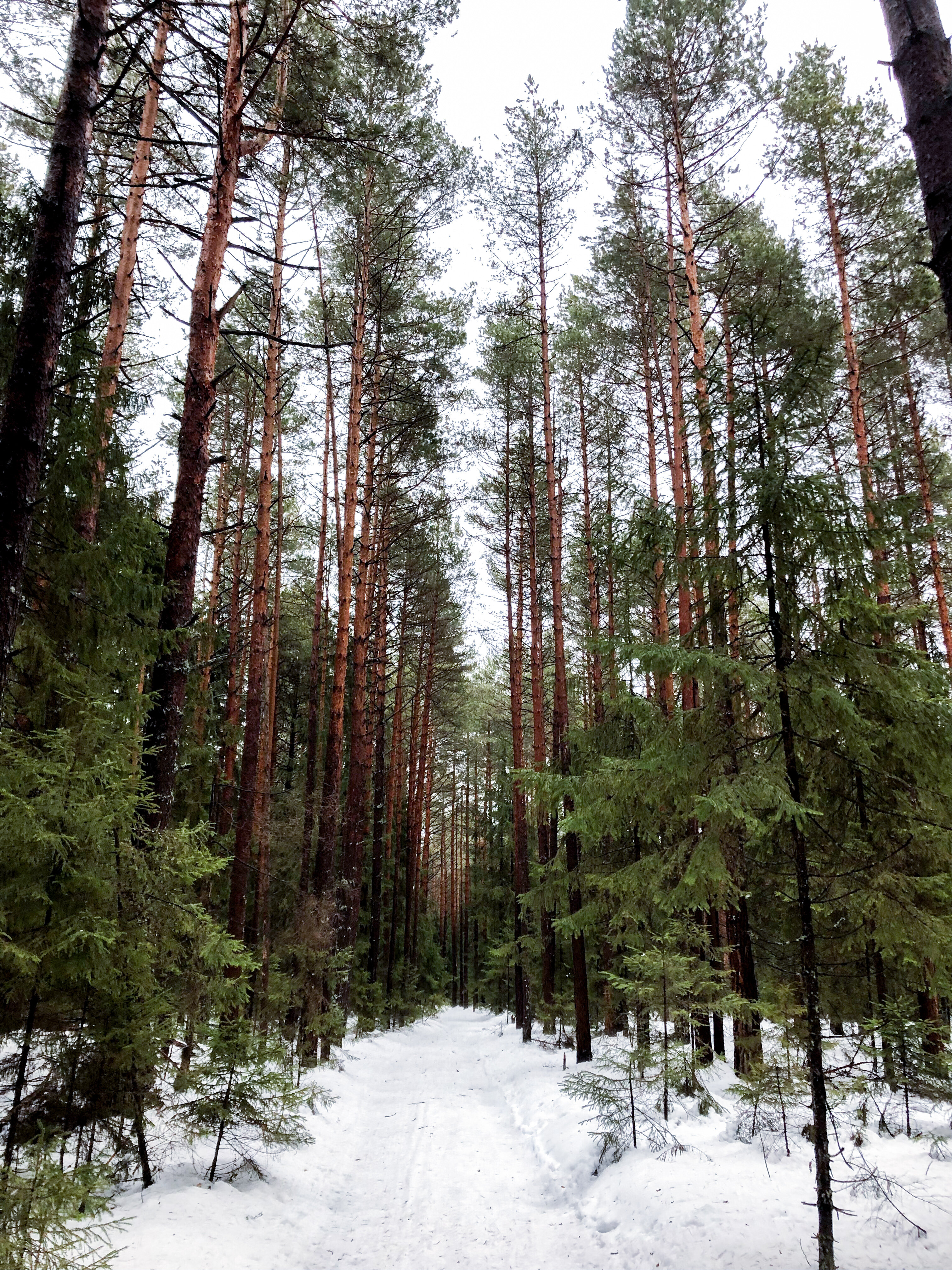 Фото Green House