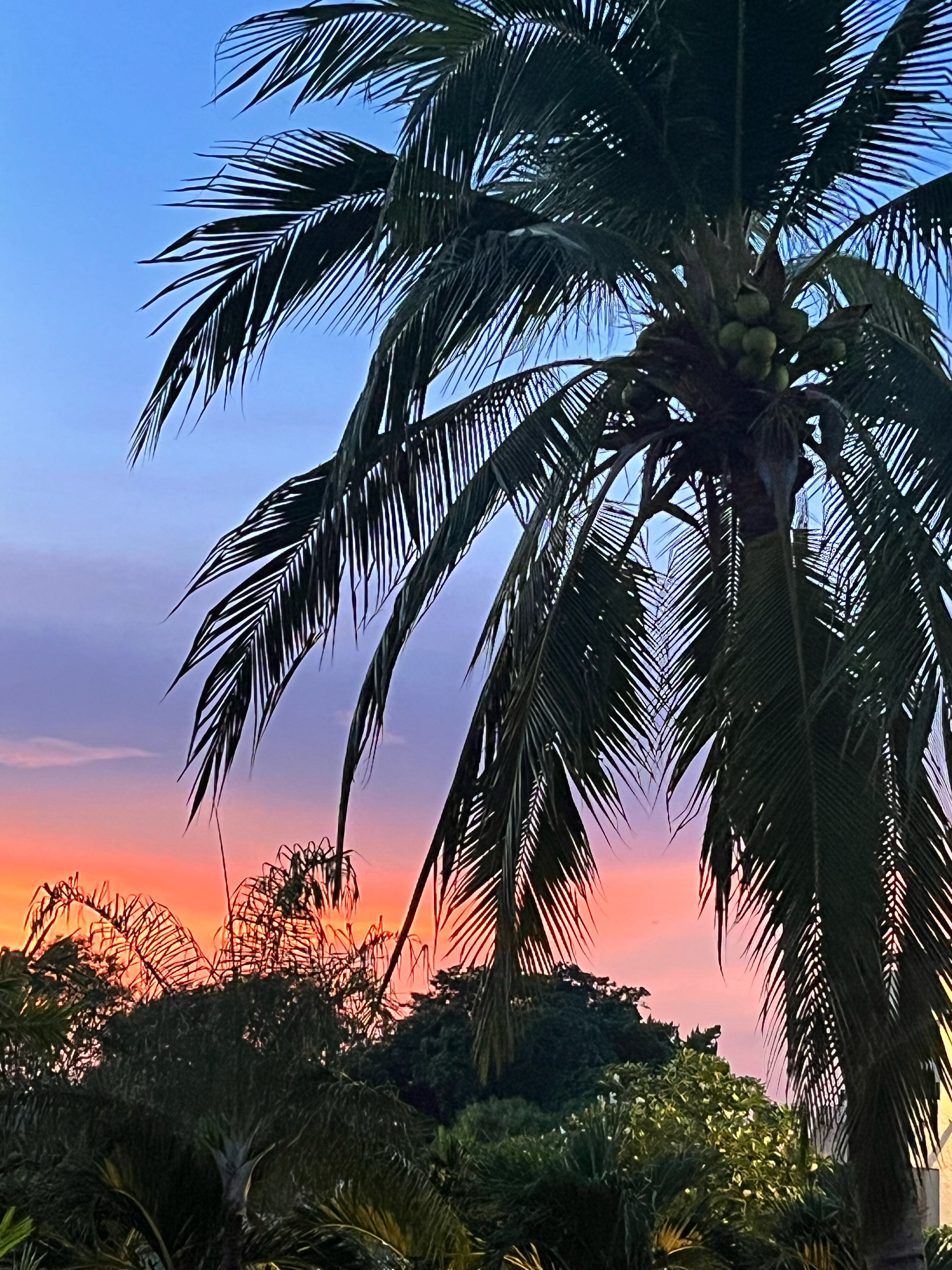 Фото Hotel Tropicana Pattaya