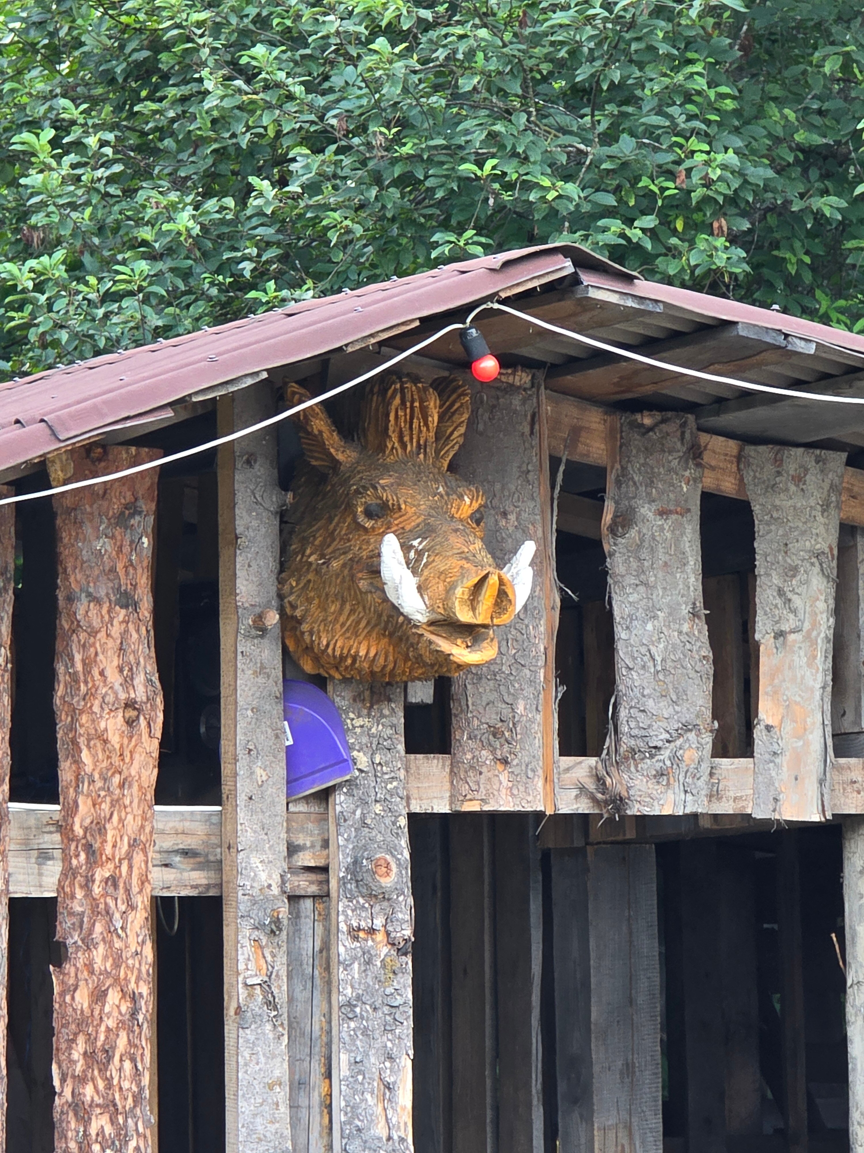Фото Медвежий Угол
