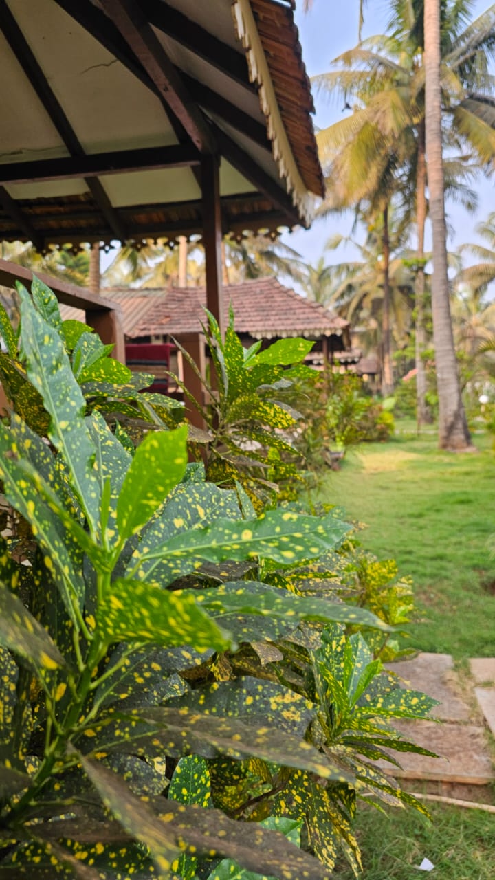 Фото Morjim Hermitage