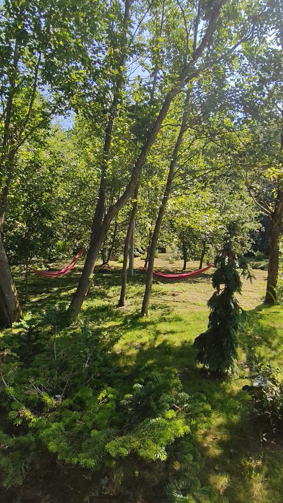 Фото Ловец Снов