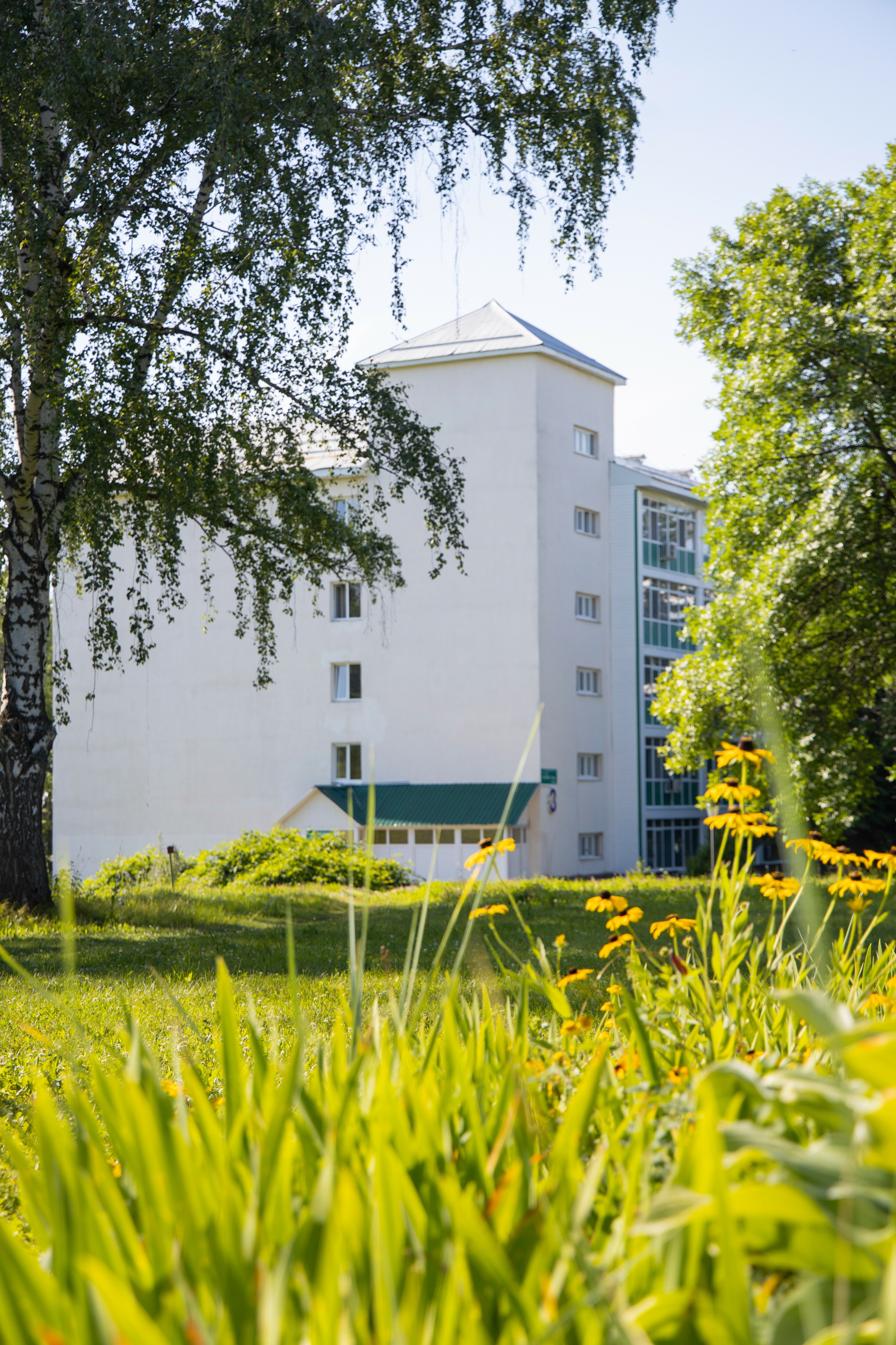 Фото Зеленая Роща