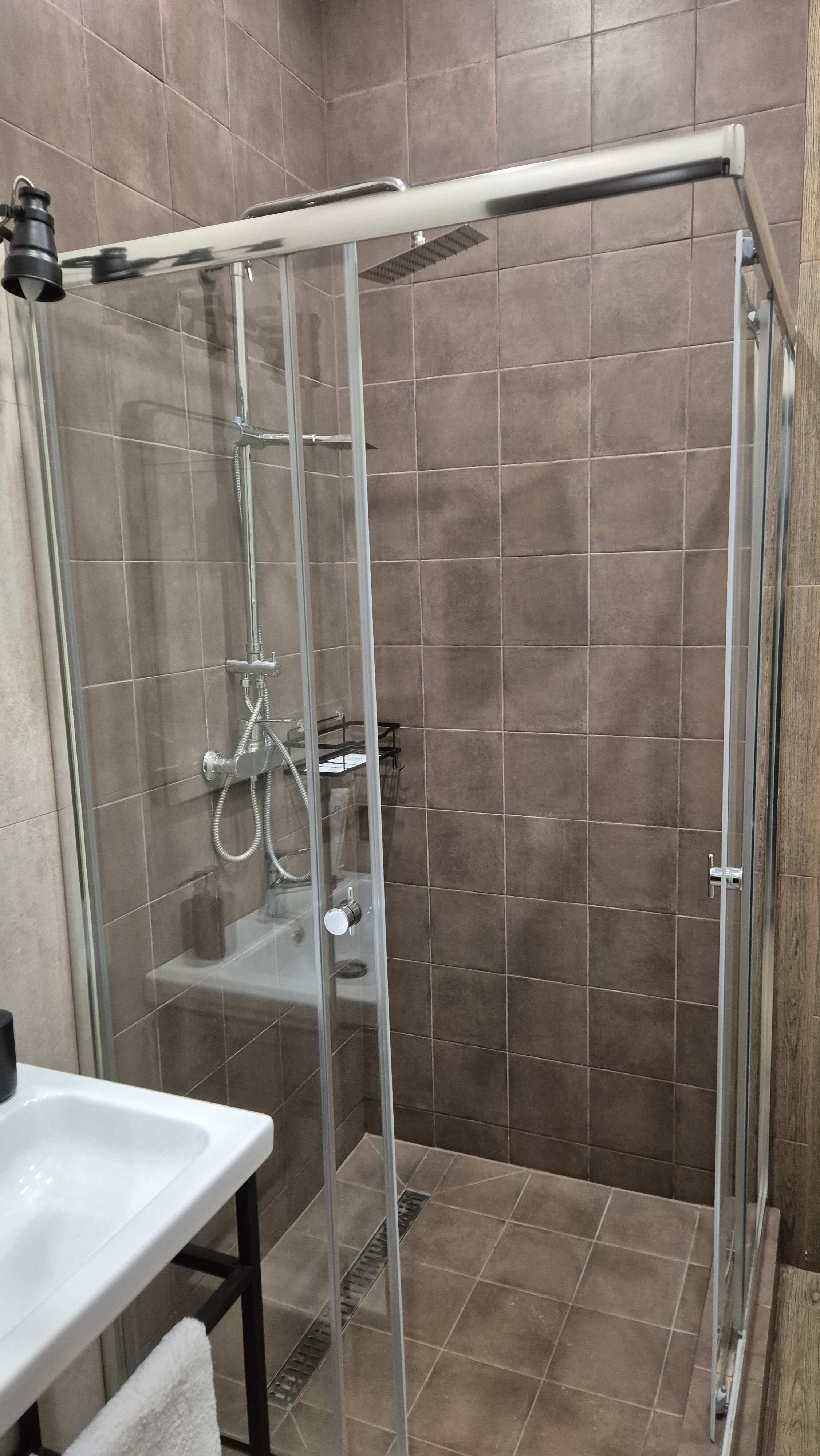 Фото Берёзка