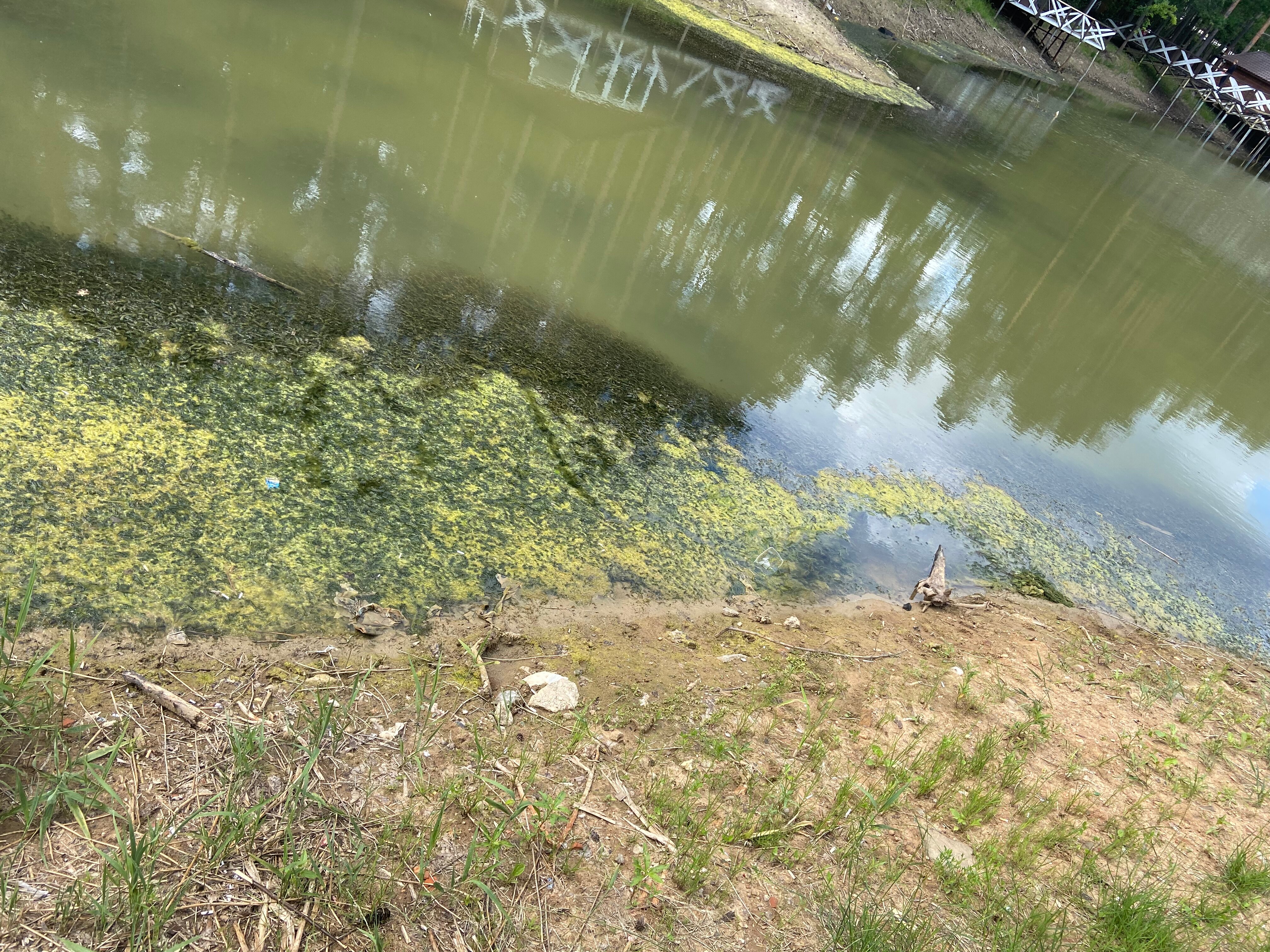 Фото Дрожжино парк