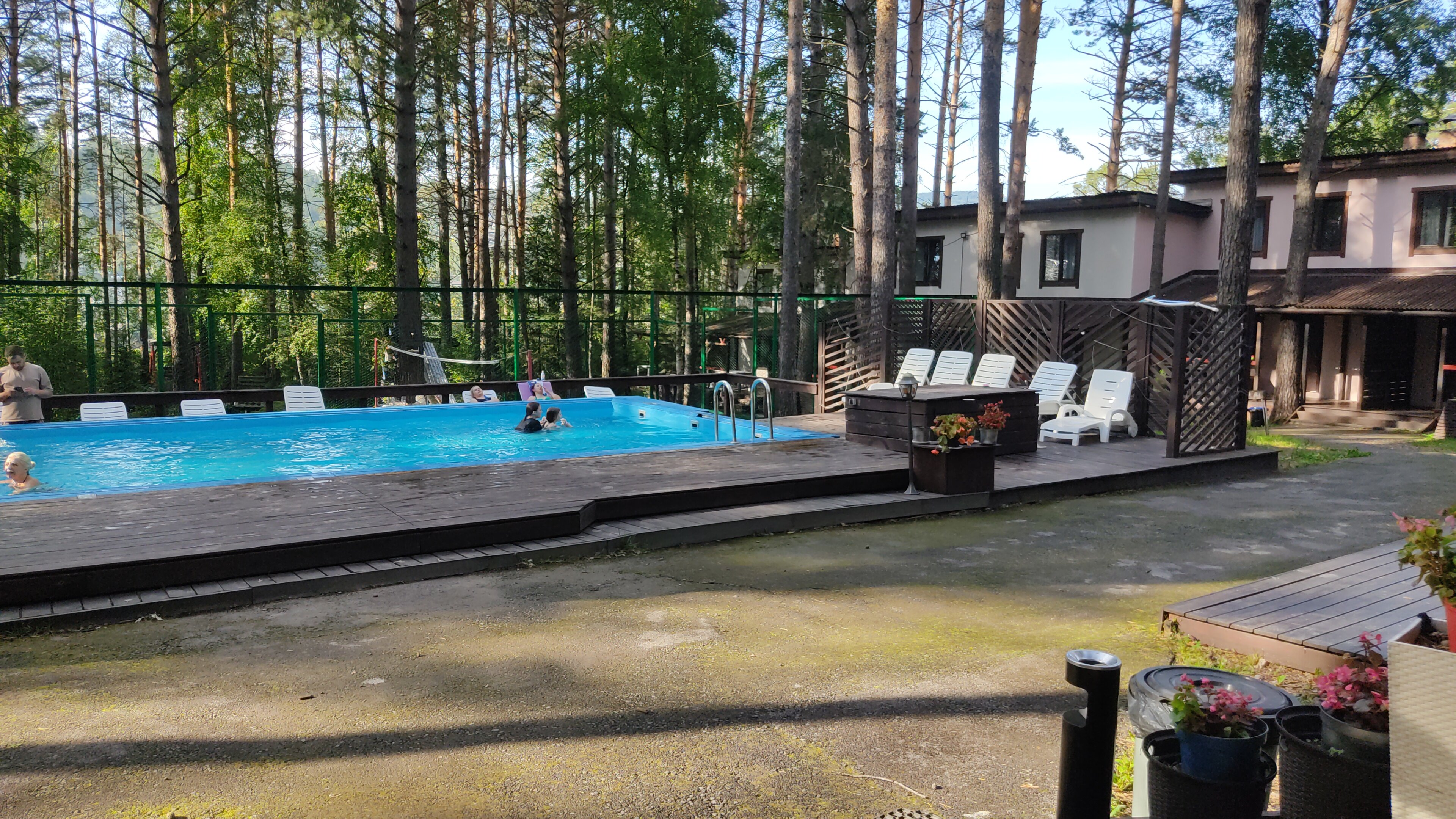 Фото Брусника