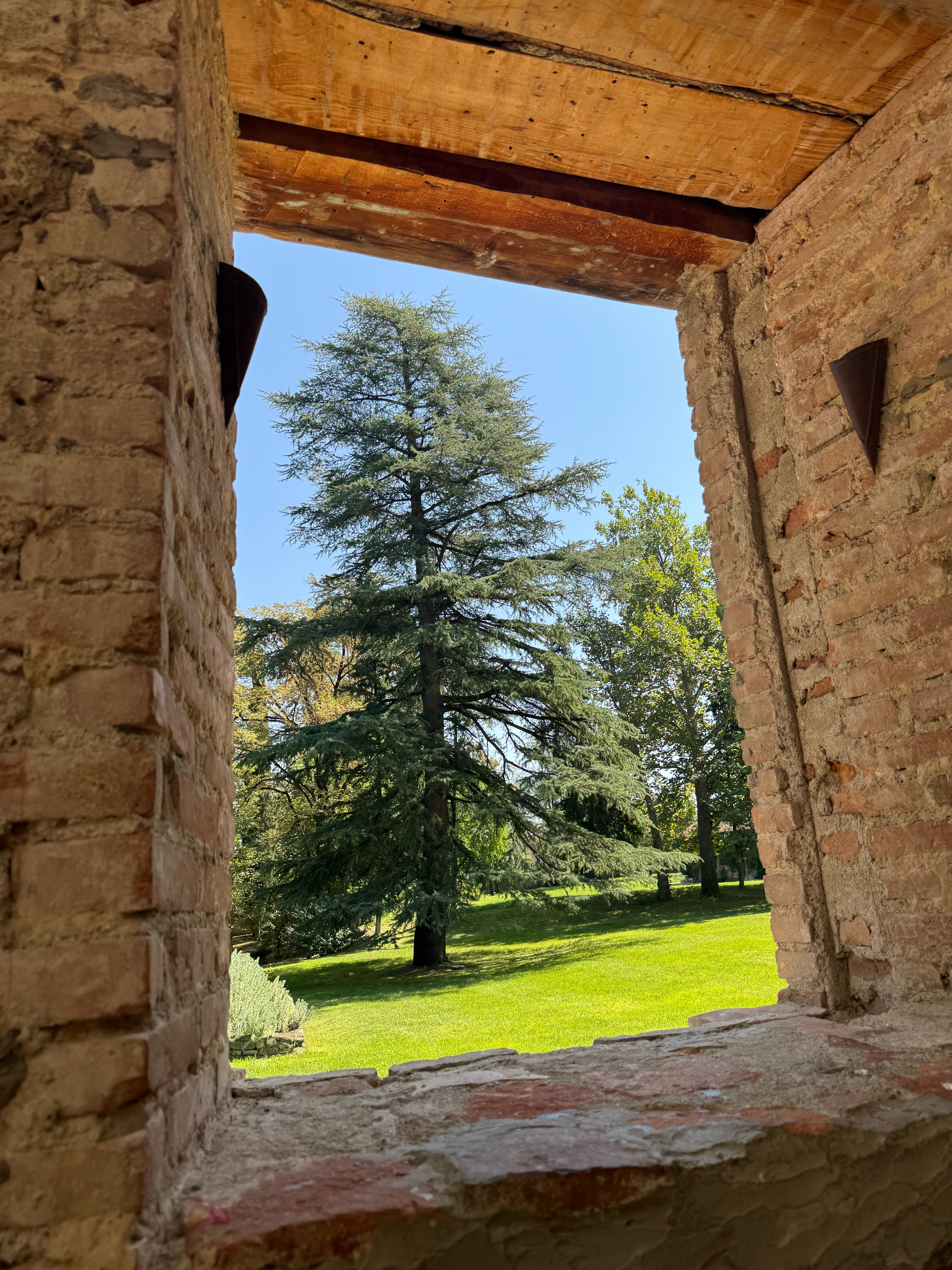 Фото Tsinandali Estate, A Radisson Collection Hotel