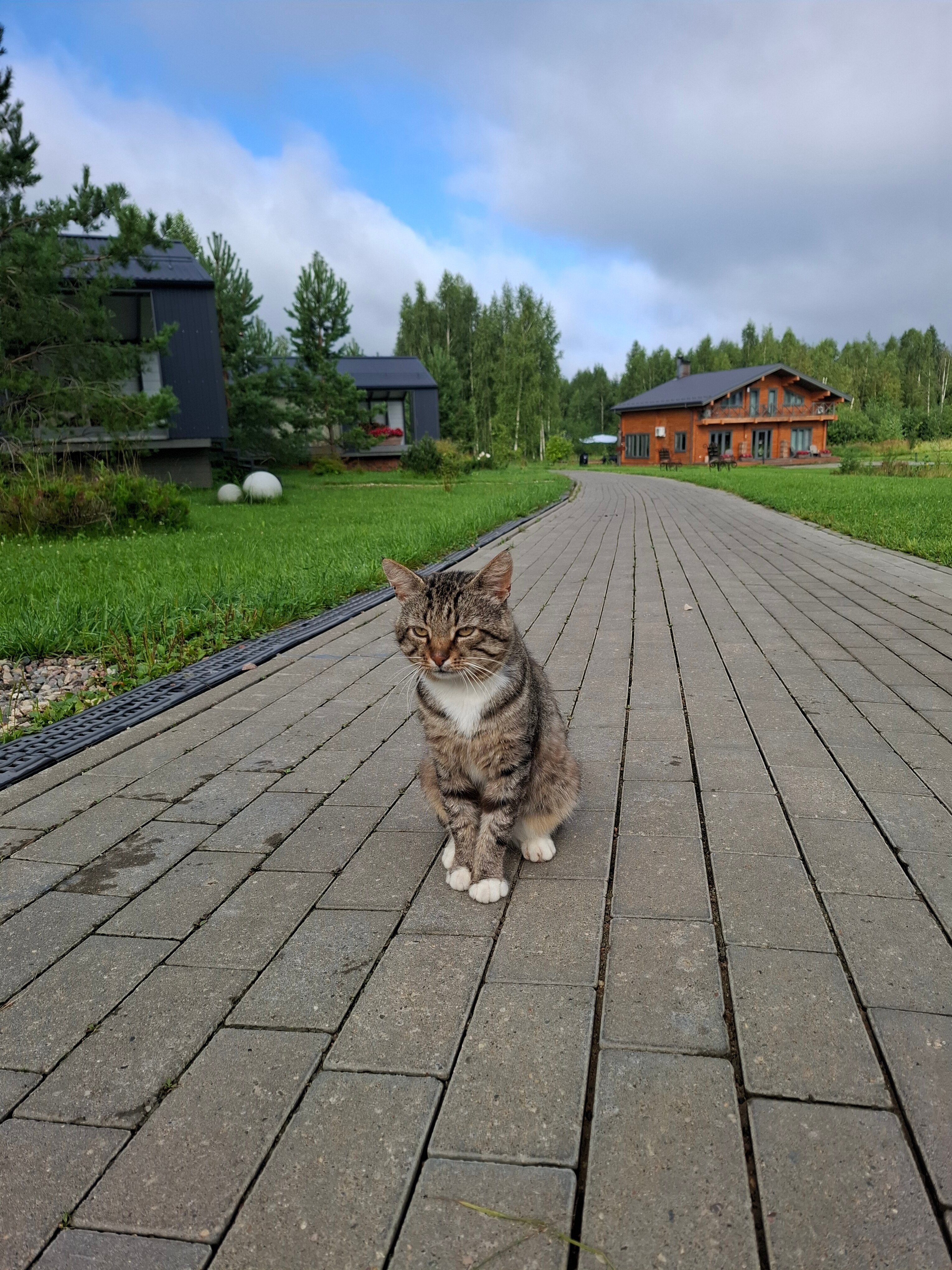 Фото Джао ДаЧа