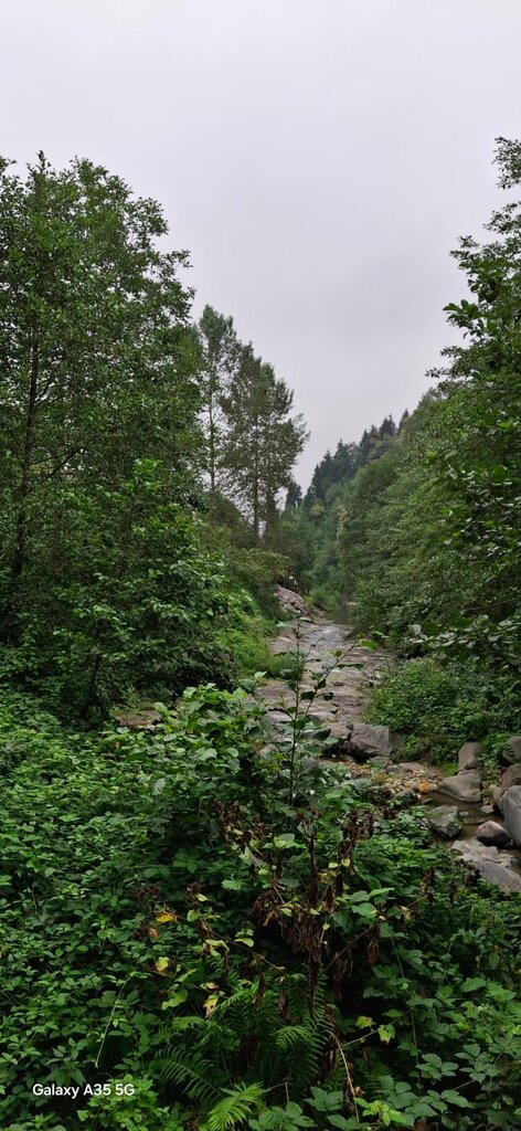 Landmark, attraction Canikdere Waterfall Natural Walking Path, Tonya, photo