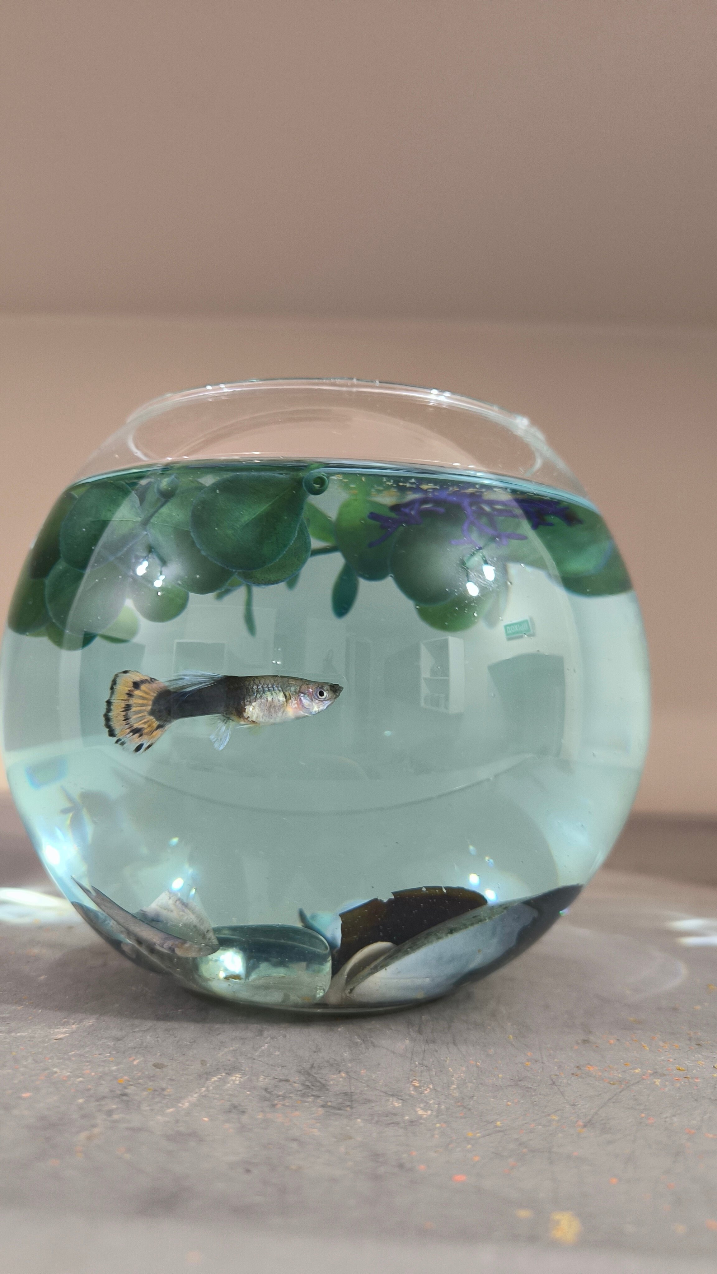 Фото Васильевский остров