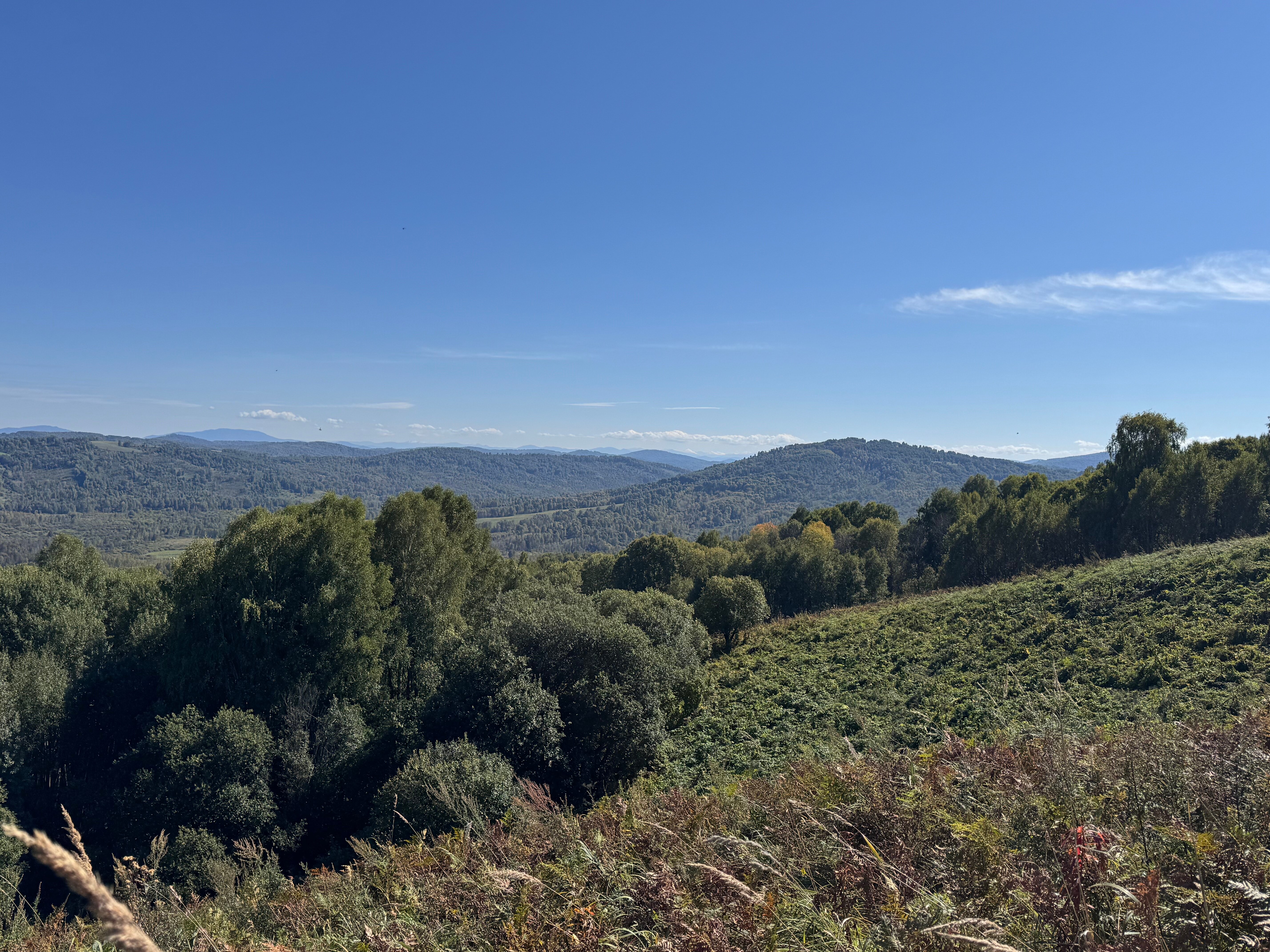 Фото Тайнинская слобода