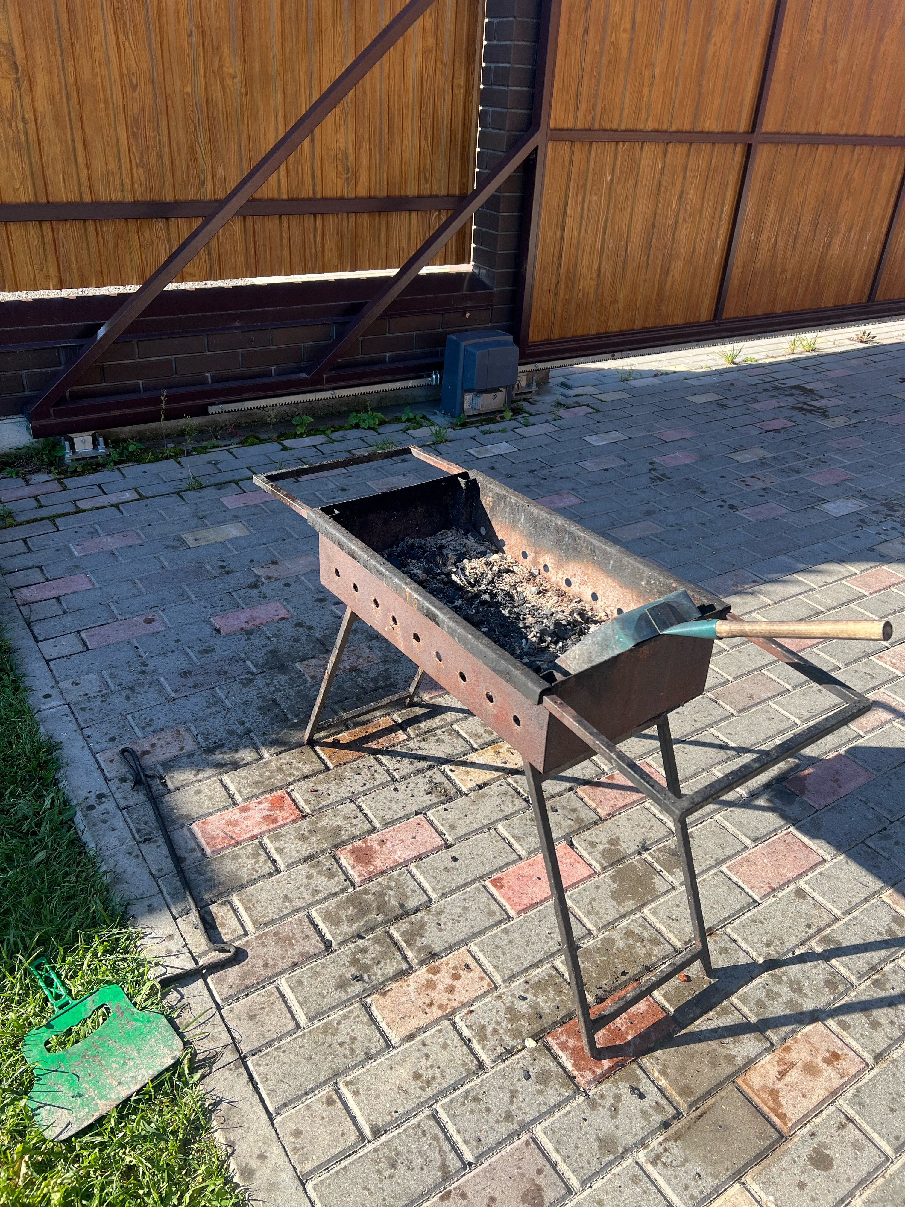 Фото Дельфин