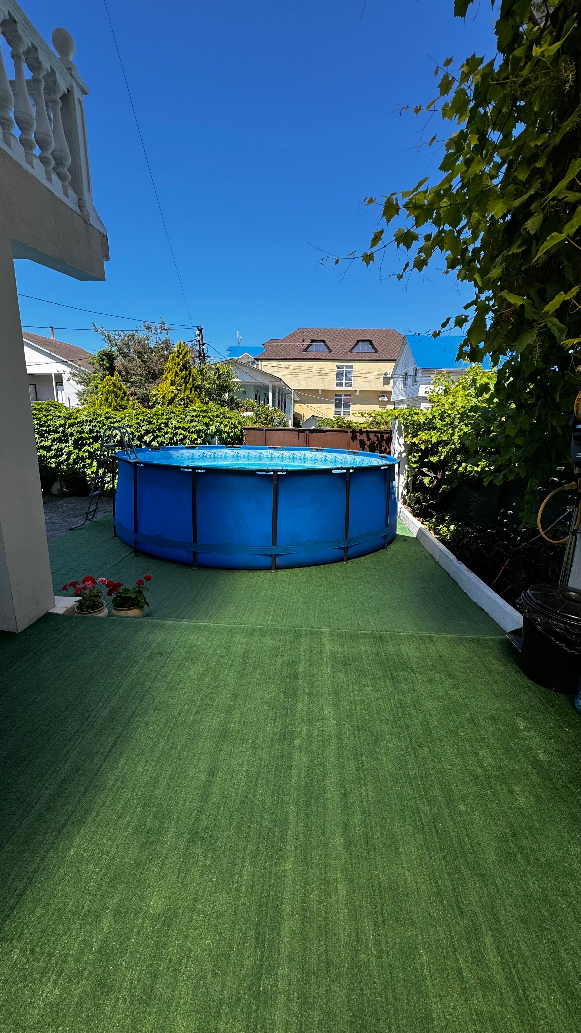 Фото Сакура