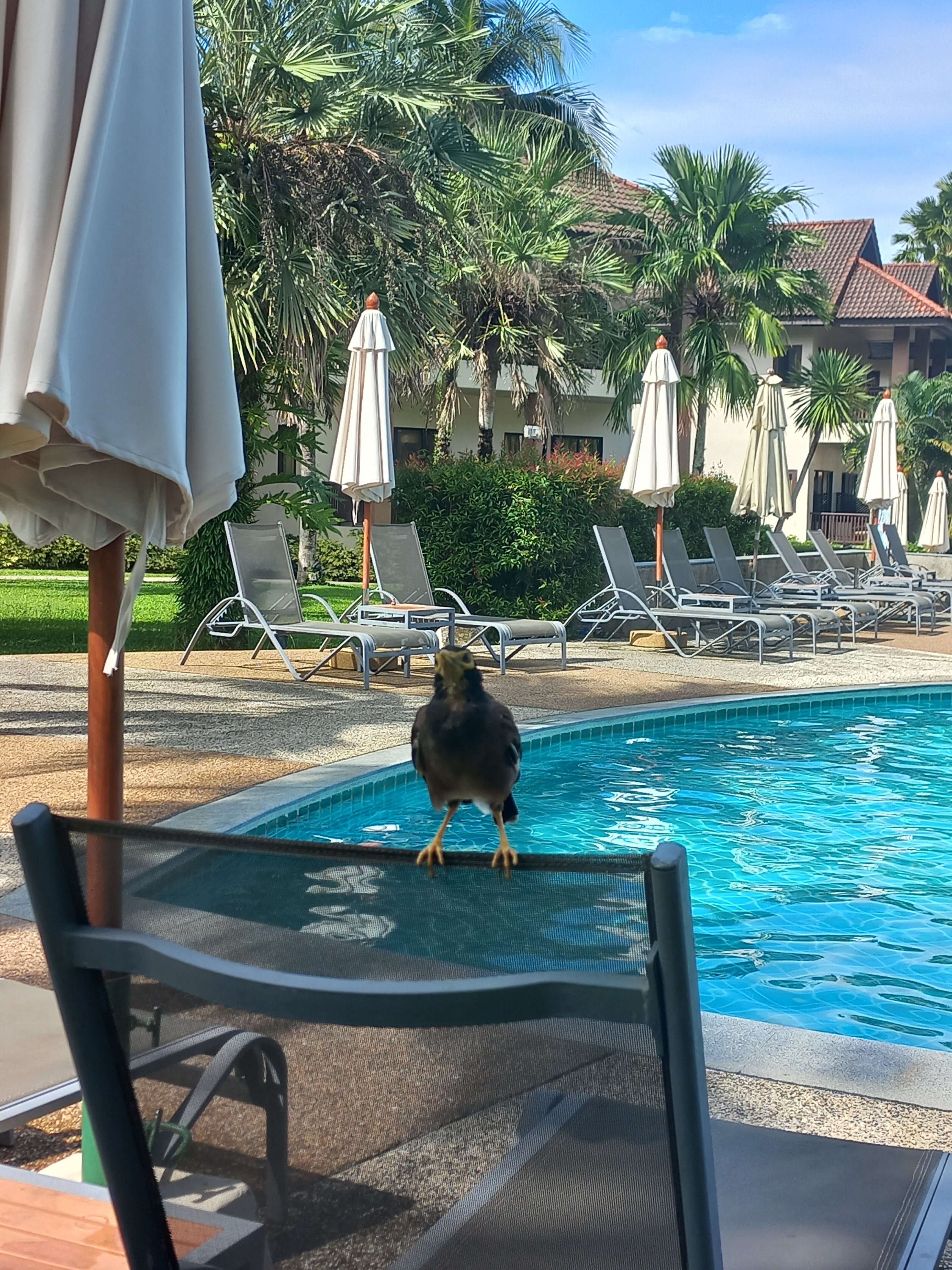 Фото The Leaf Oceanside