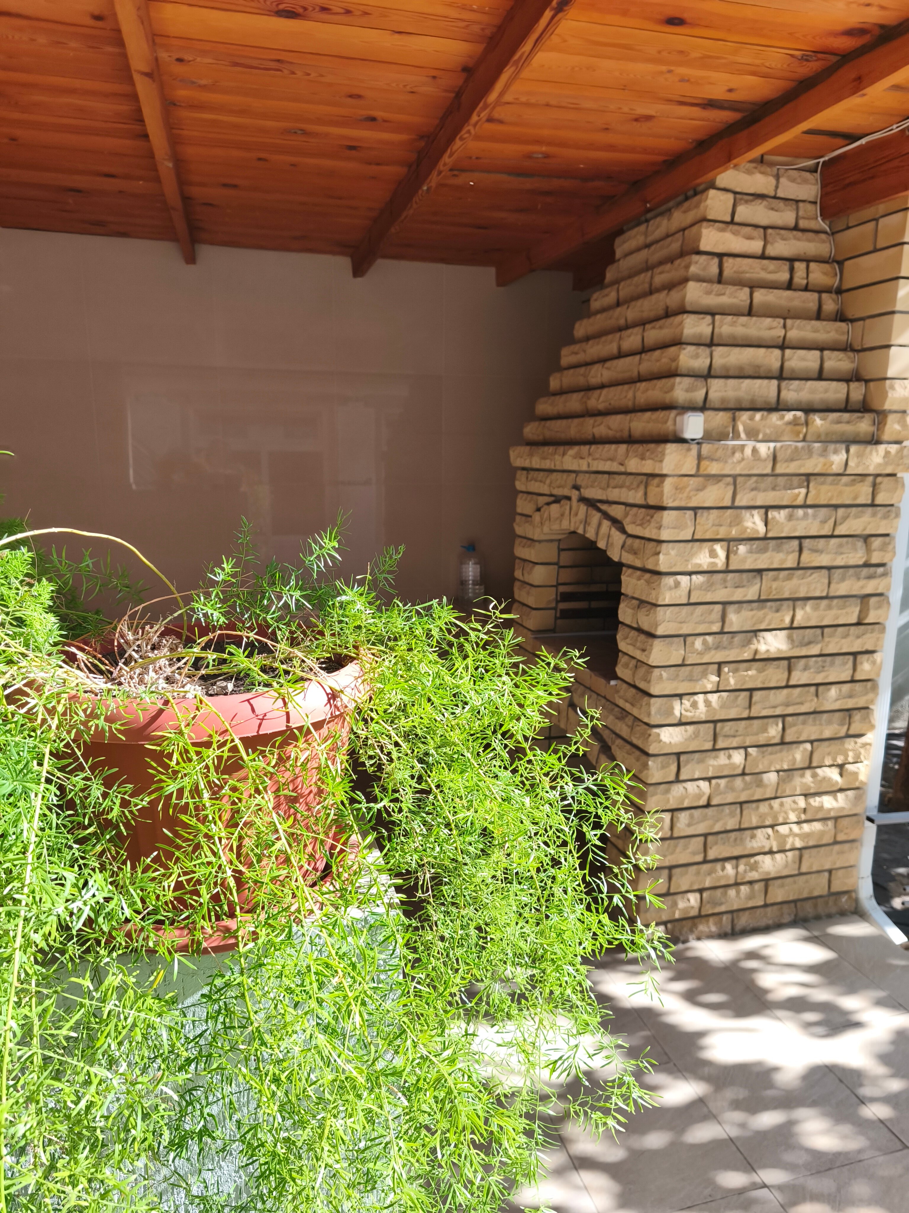 Фото Белый песок