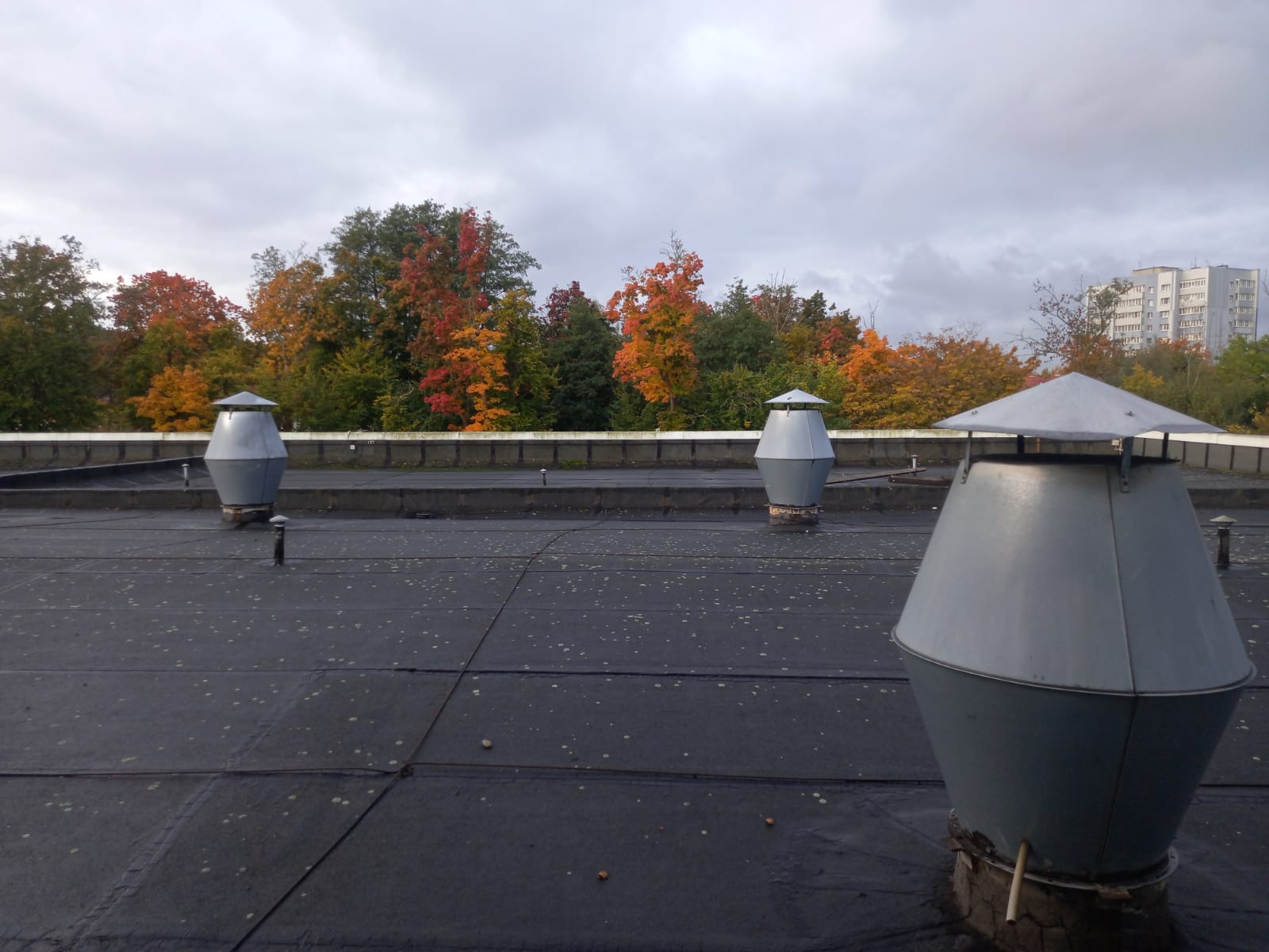 Фото Невский