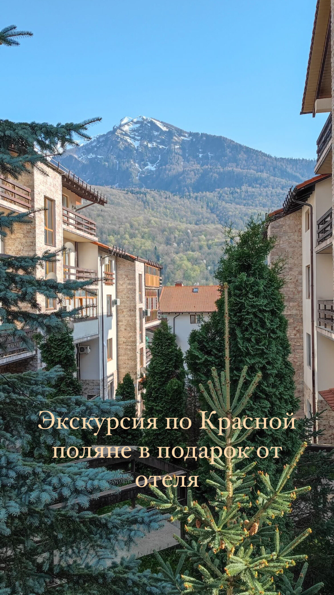 Фото Времена года