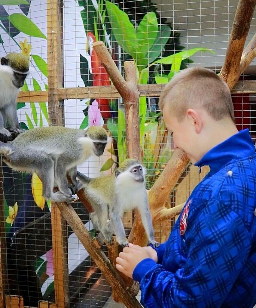 Zoo Tropical Paradise, Anapa, photo