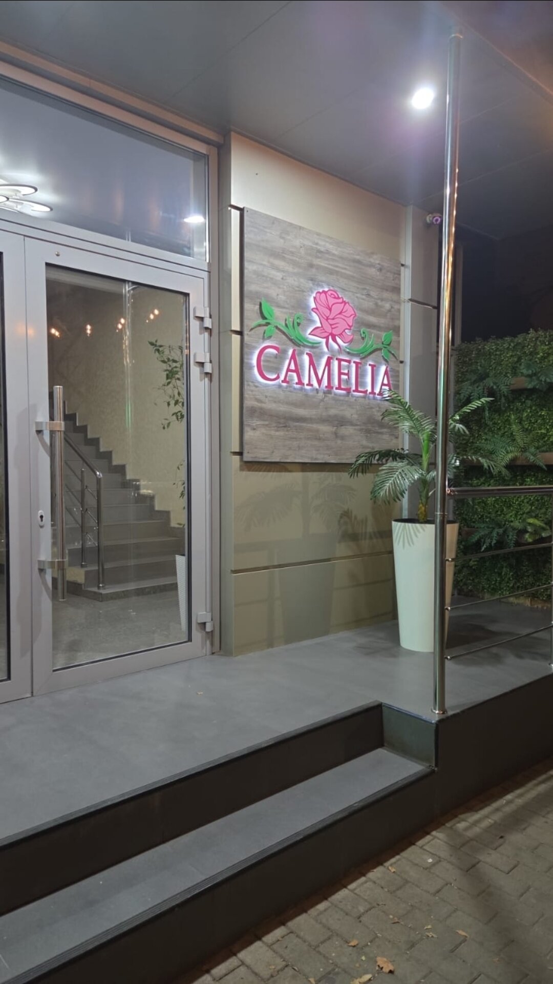 Фото Камелия