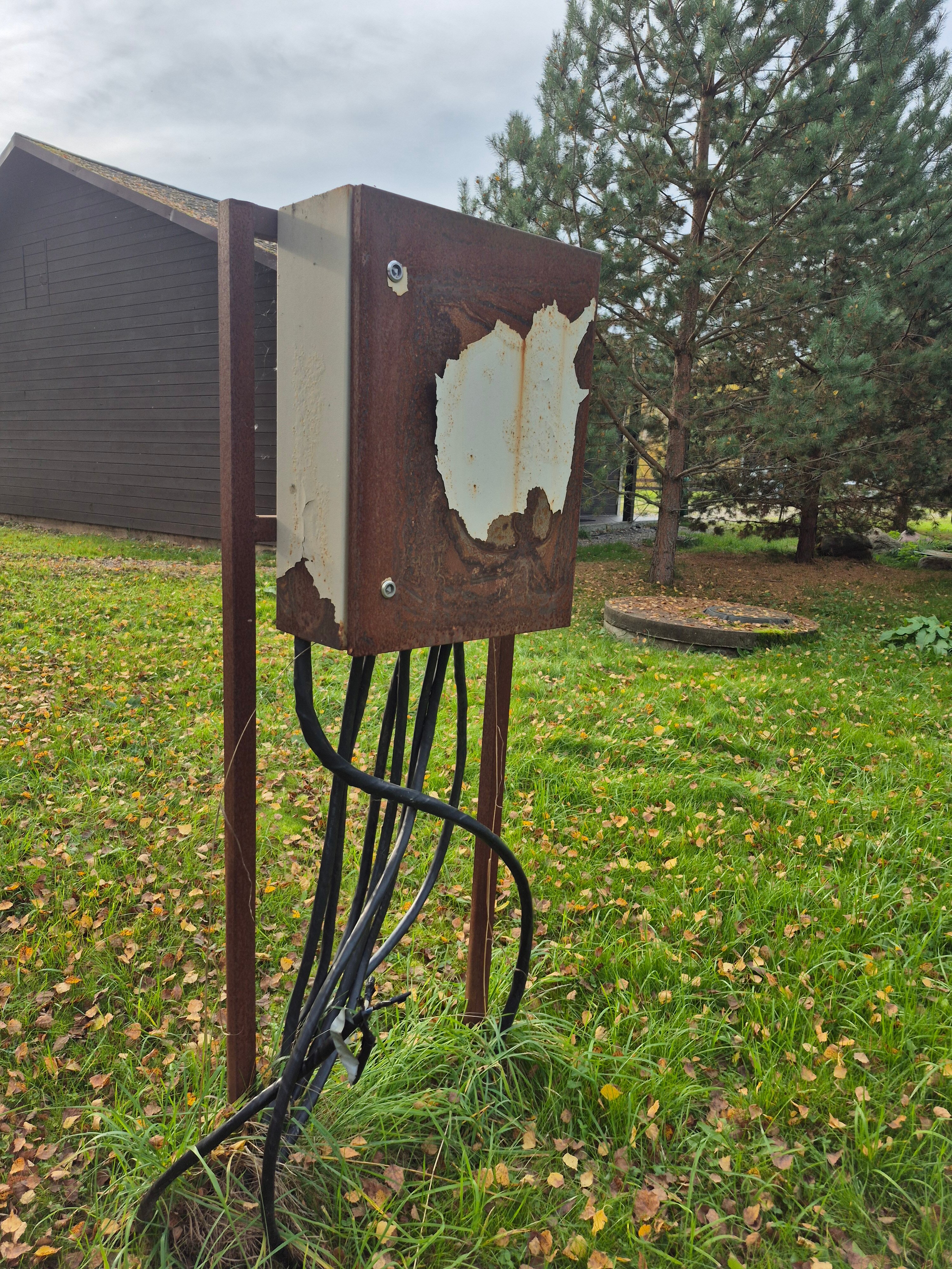 Фото Некрасовская дача