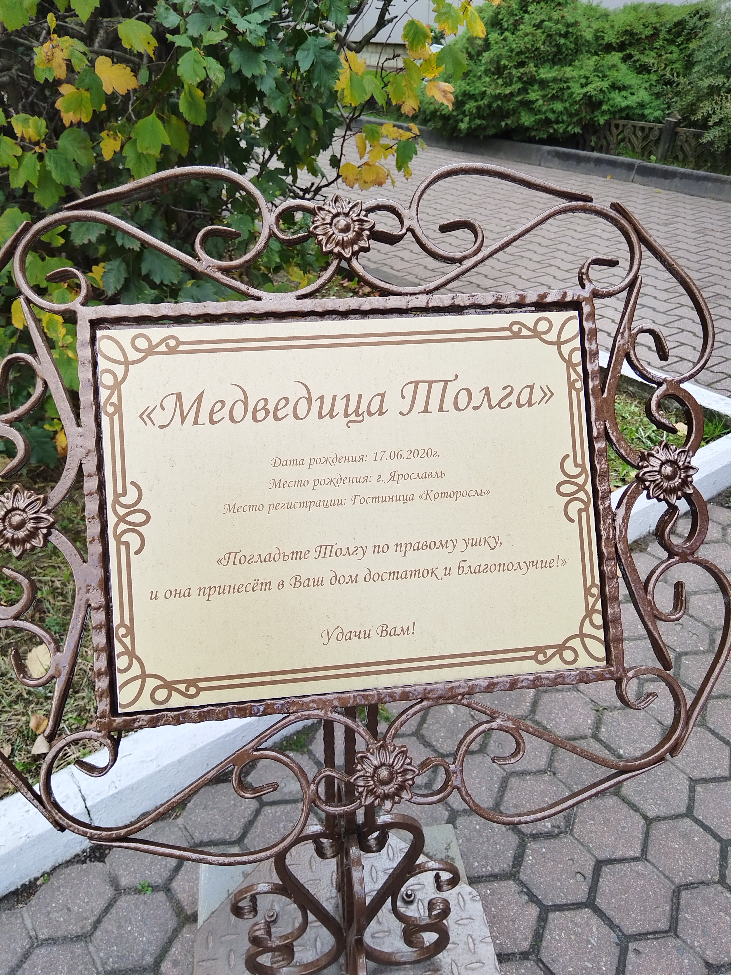Фото Которосль