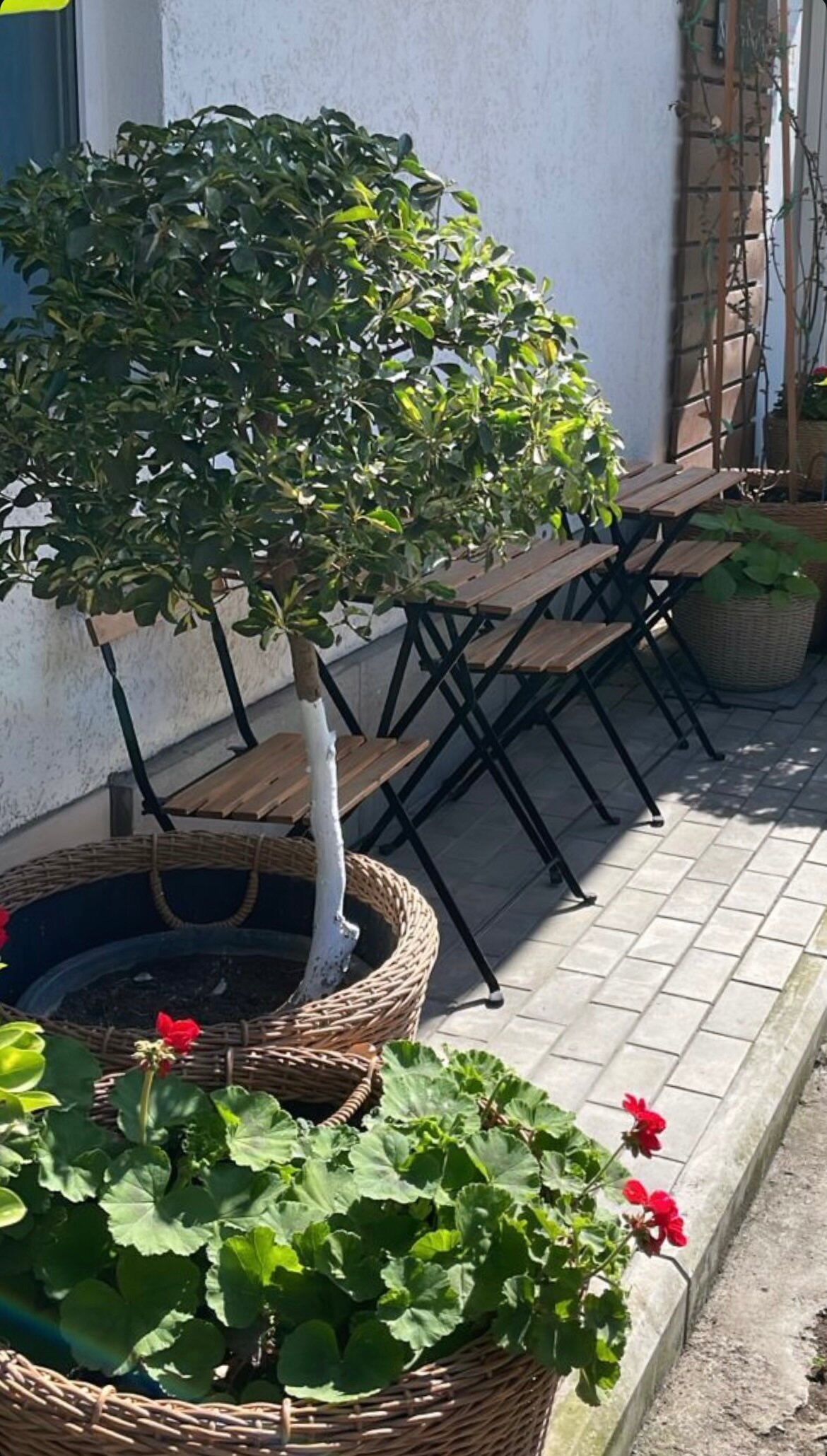 Фото Travel New Gagra