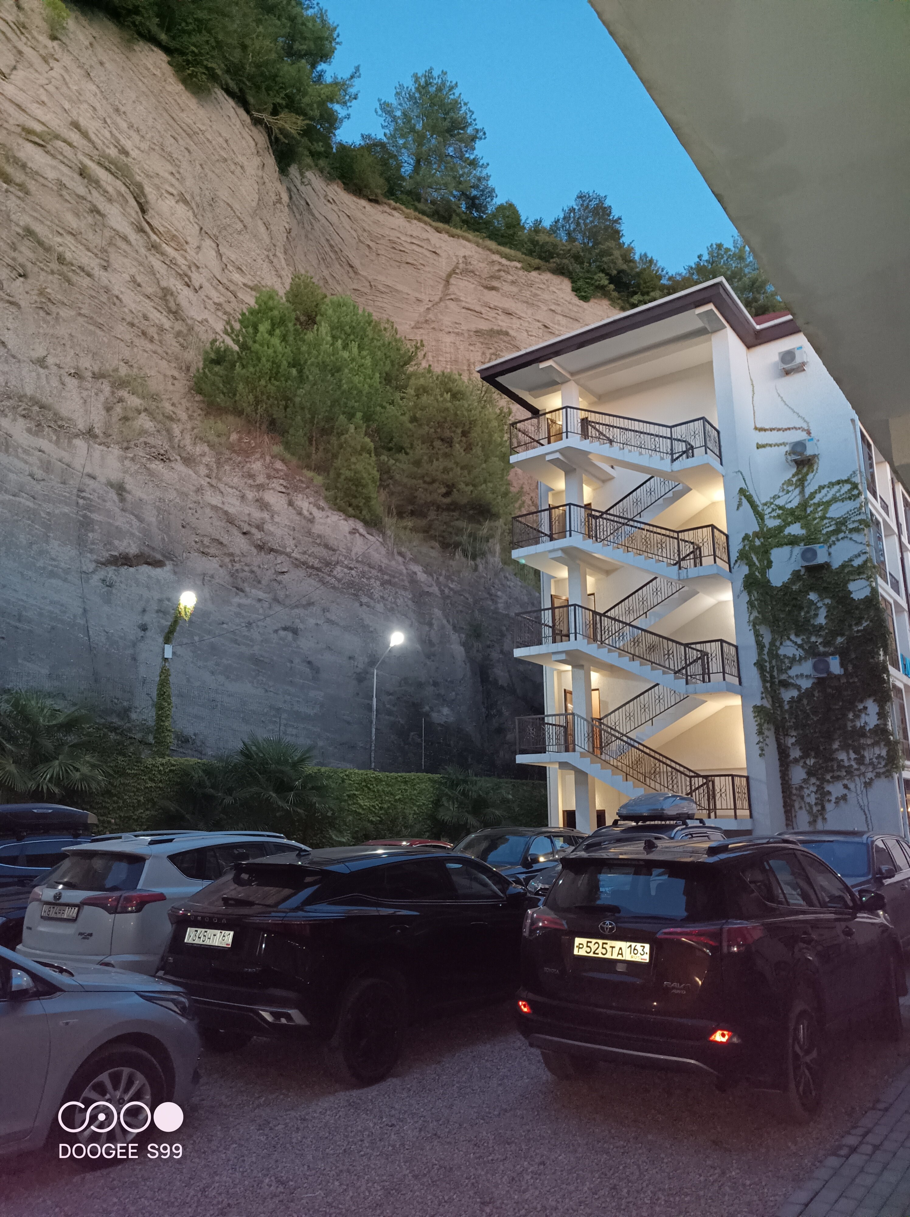 Фото Арбика