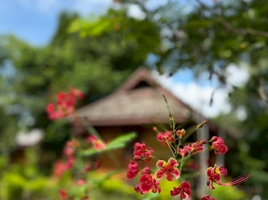 Фото 32994703636