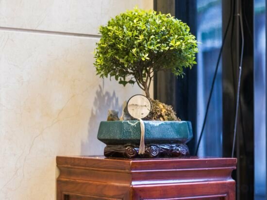 Hotel Homeinn Pebble Hotel, Shanghai, photo