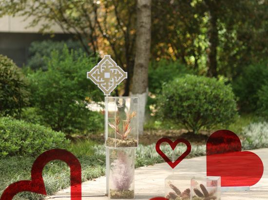 Фото 37586581351