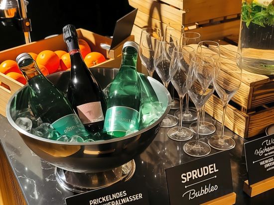 Фото Hotel Schani Salon