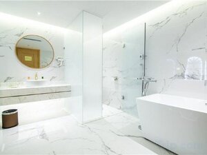 Гостиница Vienna Hotel