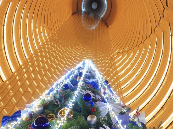 Фото Grand Hyatt Shanghai