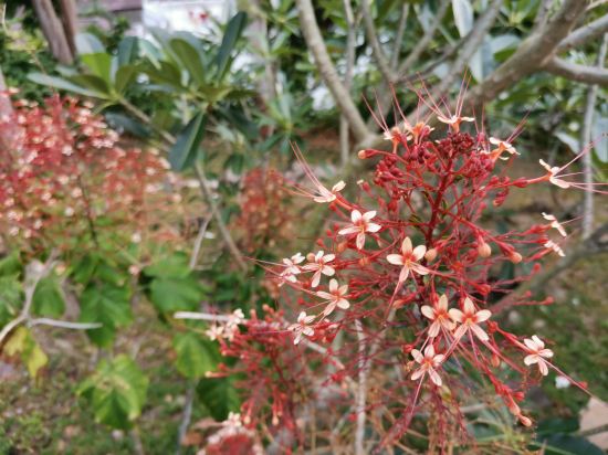 Фото On The Hill Karon Resort