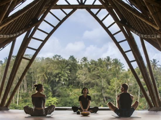 Фото The Kayon Jungle Resort