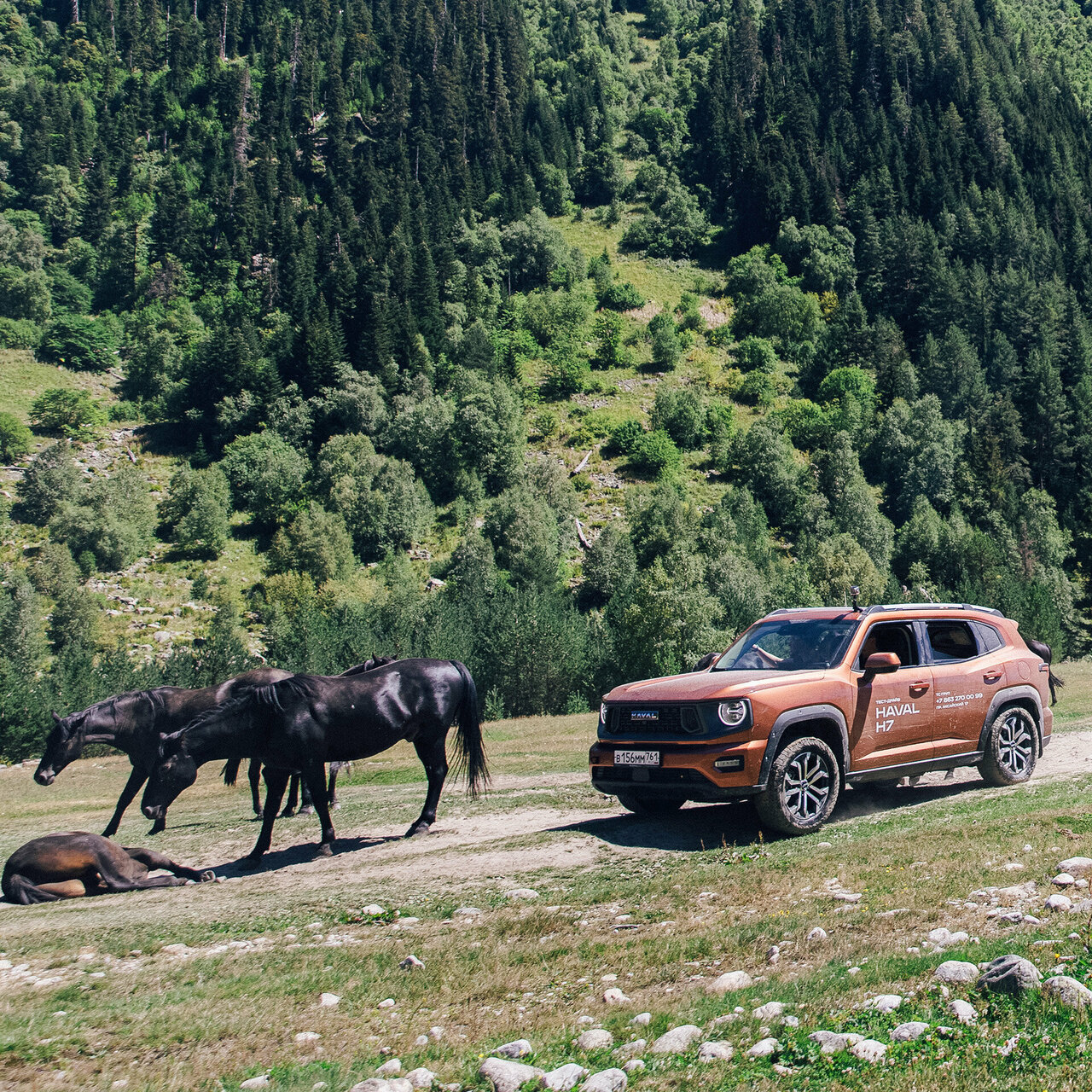 photo ТС Груп, Haval Pro