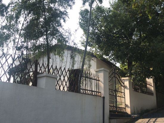 Фото Green Sleeves