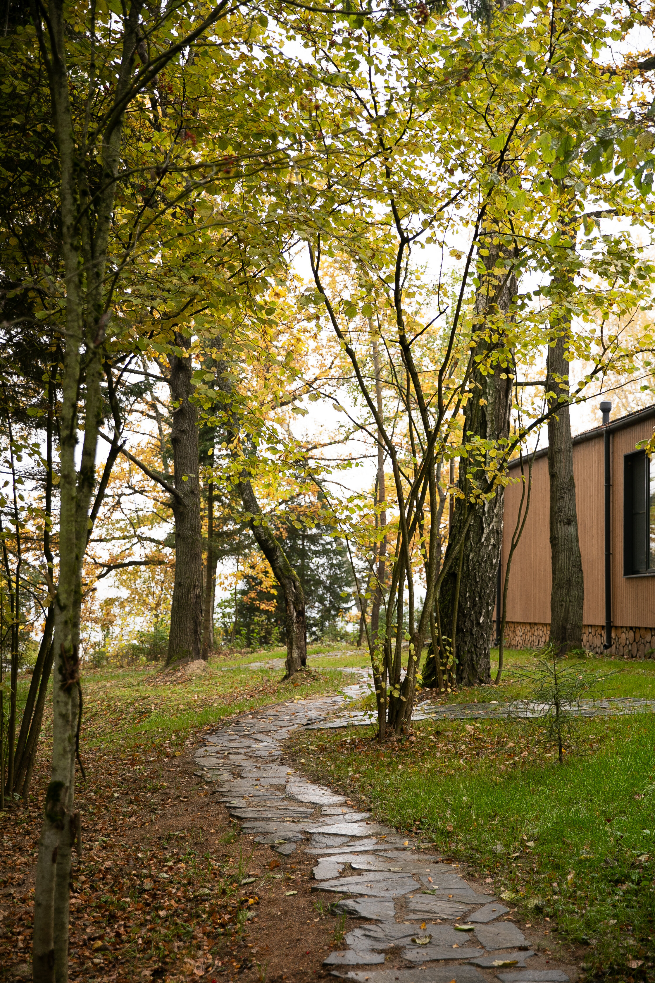 Фото Рябиновый берег