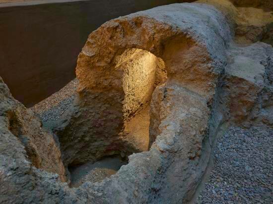 Фото 120258669100