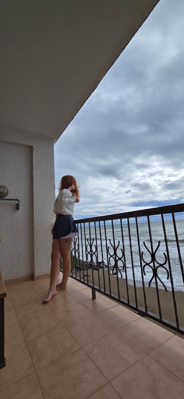 Фото Арбика